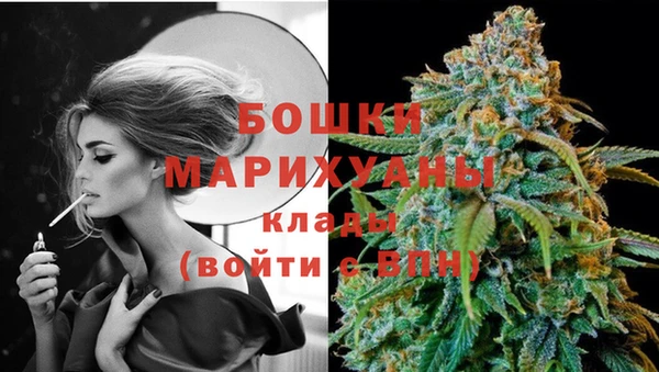 дживик Корсаков