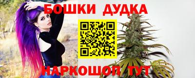 сатива Донецк