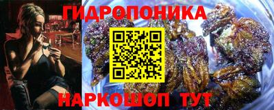 дмт Дубна