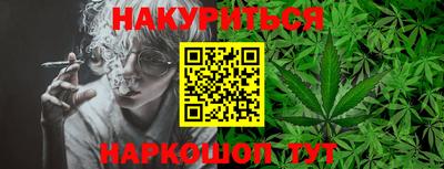 дмт Дубна