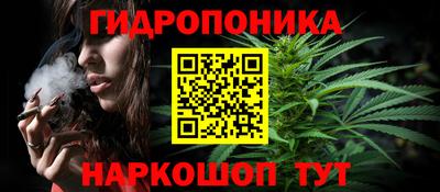 дмт Дубна