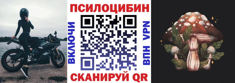Псилоцибиновые грибы MAGIC MUSHROOMS  продажа наркотиков  Сосновый Бор 