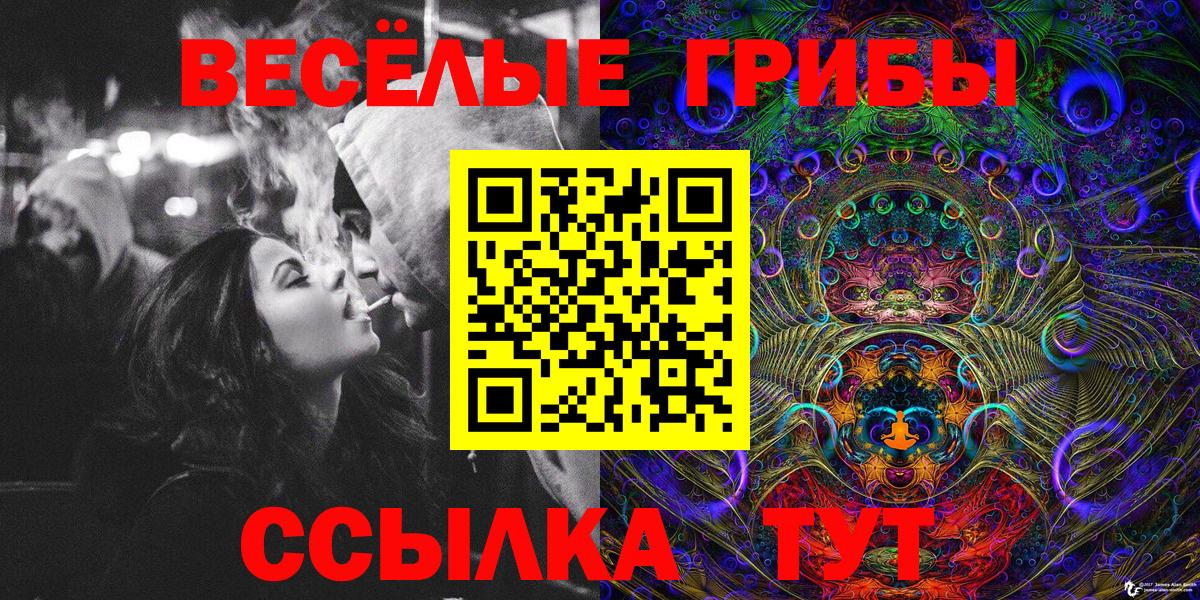 Сосновый Бор  Псилоцибиновые грибы GOLDEN TEACHER  Вход с VPN 