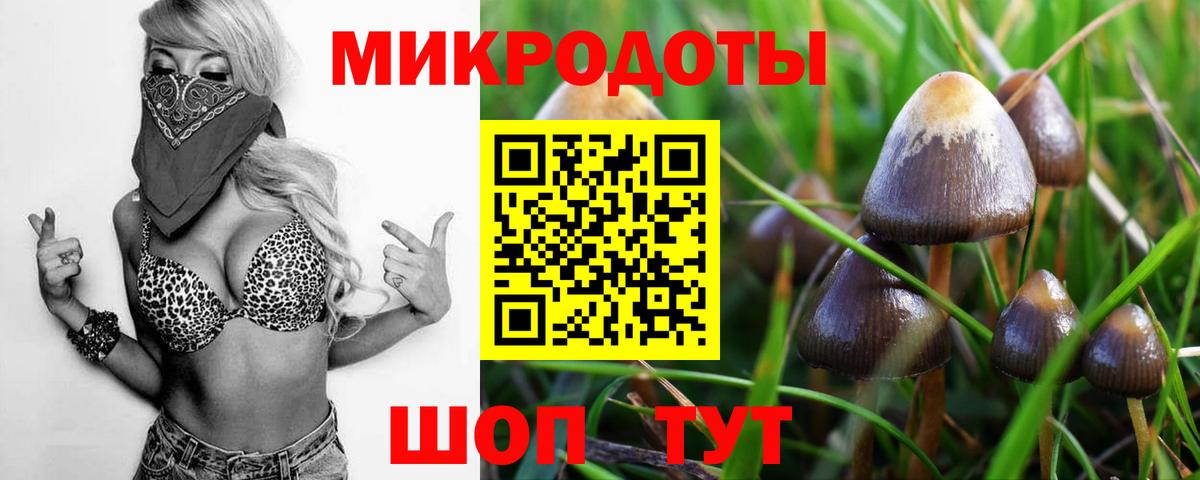 Галлюциногенные грибы MAGIC MUSHROOMS Сосновый Бор